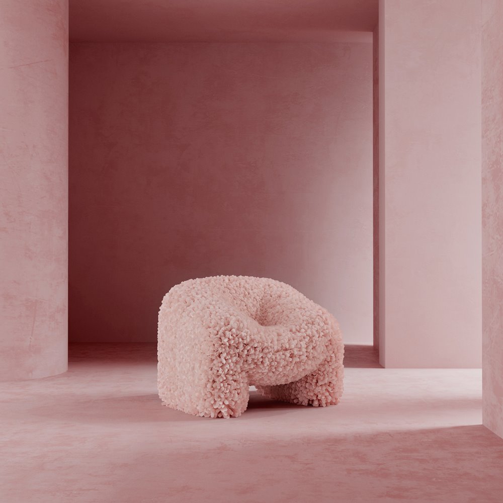 Hortensia Render