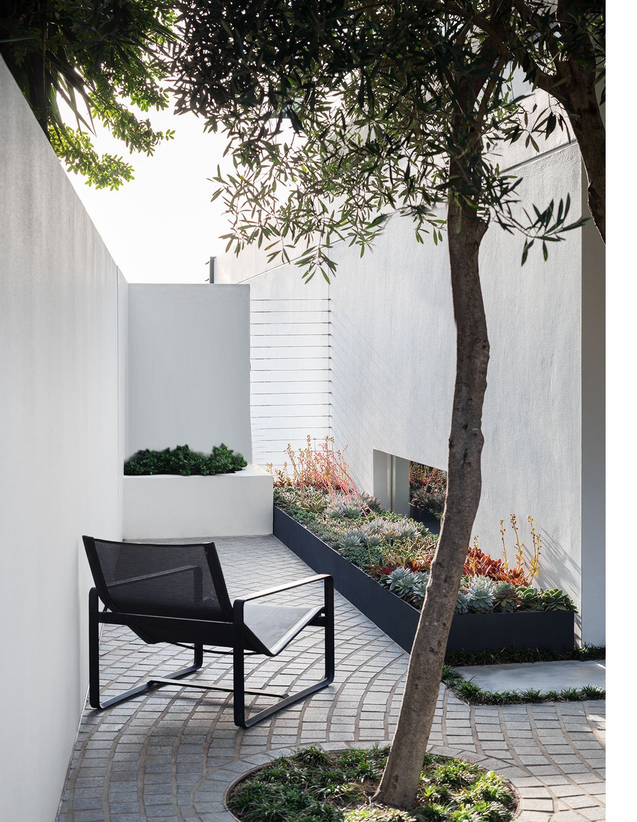 25 claves para dar vida a la casa con patios y jardines interiores 25 Claves Para Dar Vida A La Casa Con Patios Y Jardines Interiores