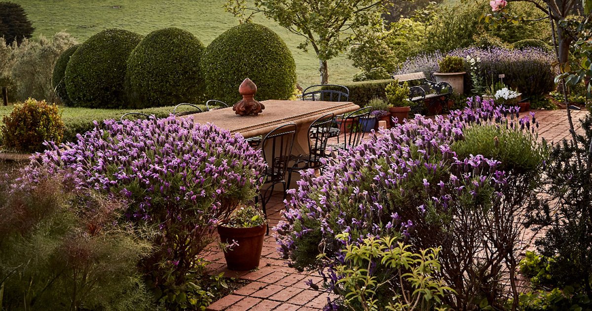25 claves para dar vida a la casa con patios y jardines interiores 25 Claves Para Dar Vida A La Casa Con Patios Y Jardines Interiores