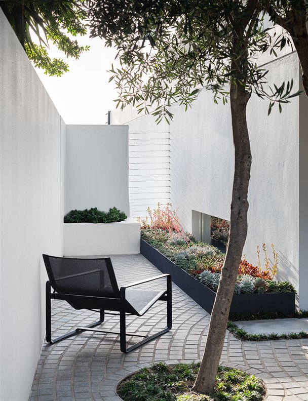Las 25 claves para dar vida a patios y jardines interiores