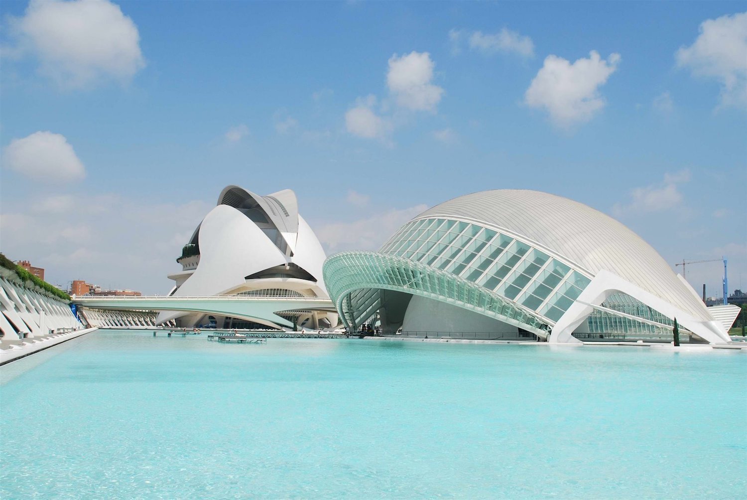 Santiago Calatrava ciudad de las artes y las ciencias de Valencia