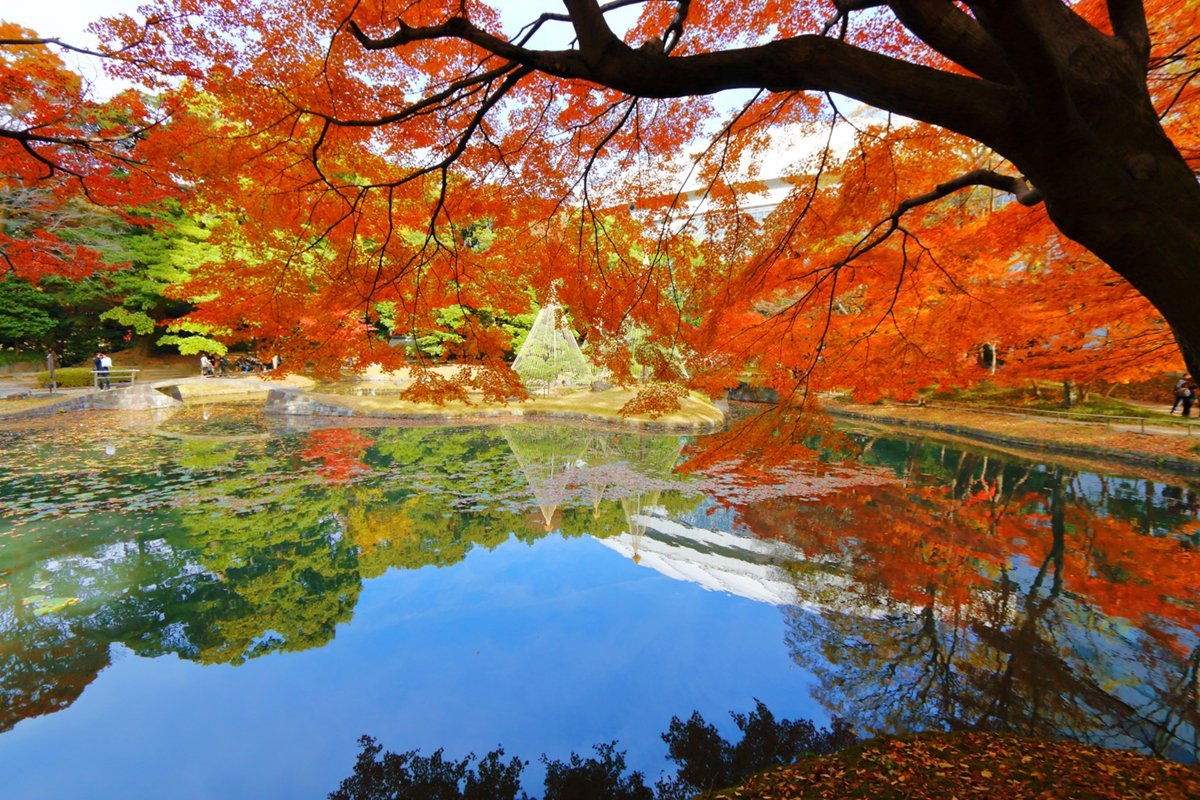 koishikawa korakuen jardin botanico tokio