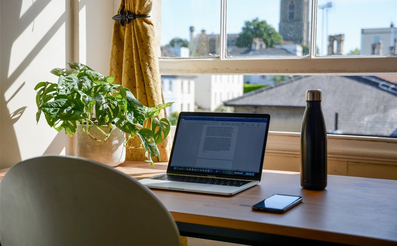 Plantas para tu mesa de trabajo fáciles de mantener