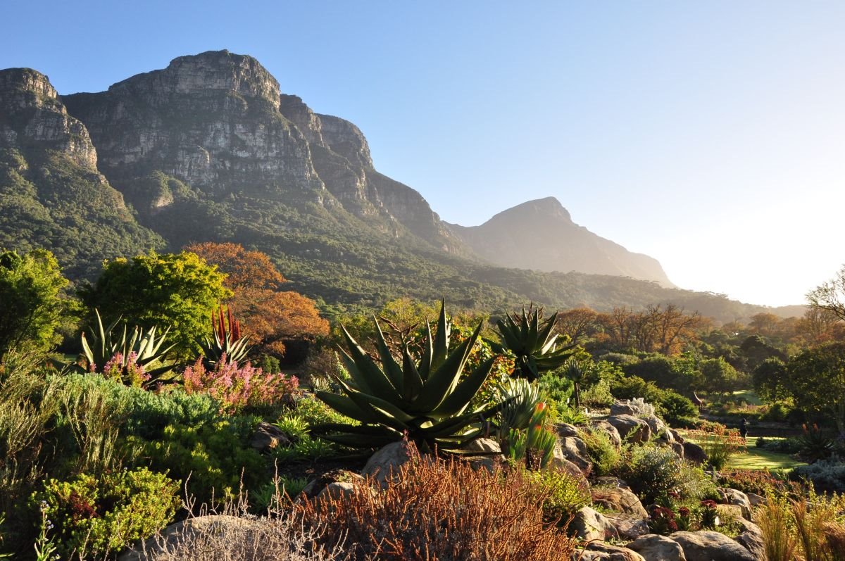 jardin botanico