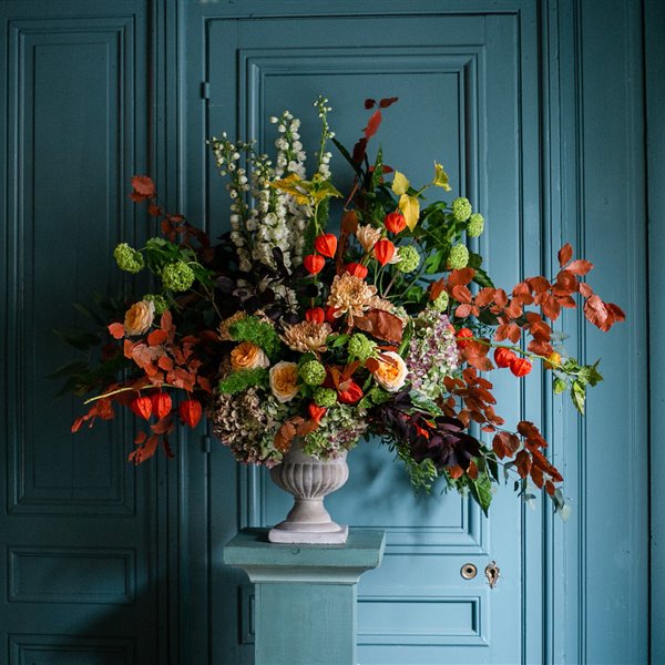 Qué flores regalar dependiendo del mensaje que quieras dar 