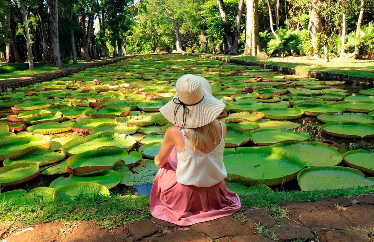 recorte-jardin-botanico-pamplemousses-isla-mauricio fda60b5a 1200x800. Pamplemousses, en Isla Mauricio