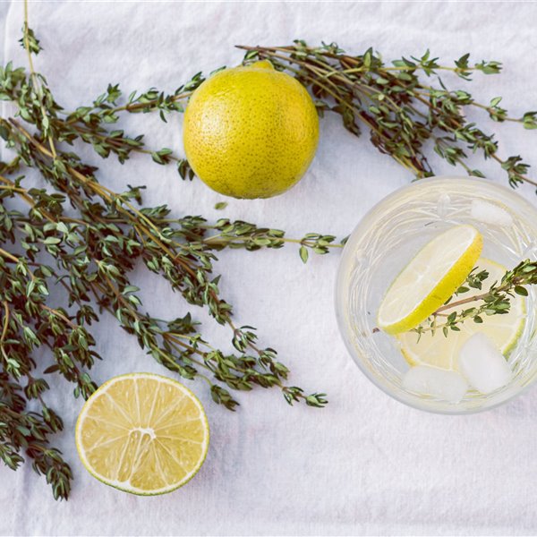 Estas plantas sirven para hacer infusiones (y dan buen olor en casa)