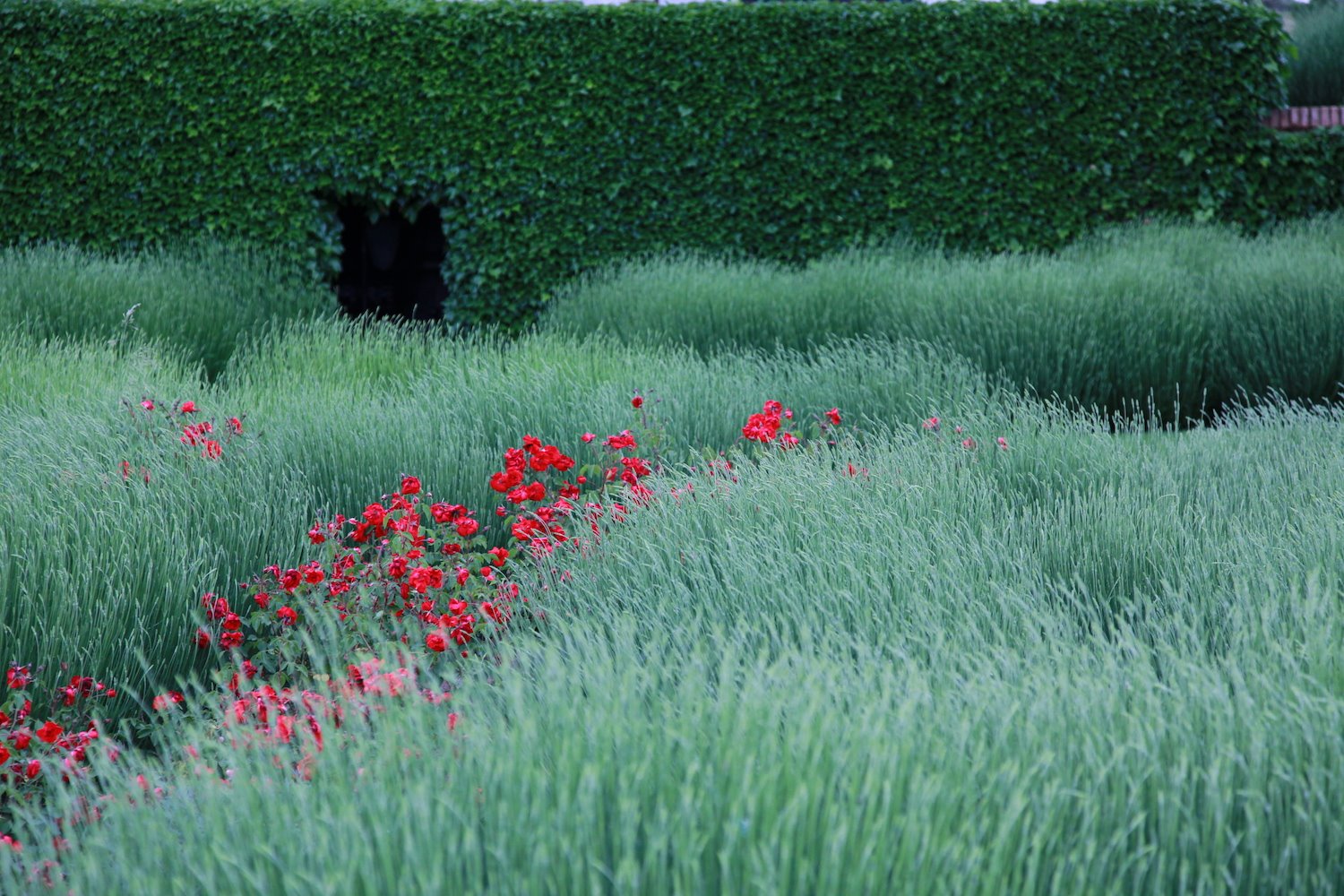 jardin salamanca