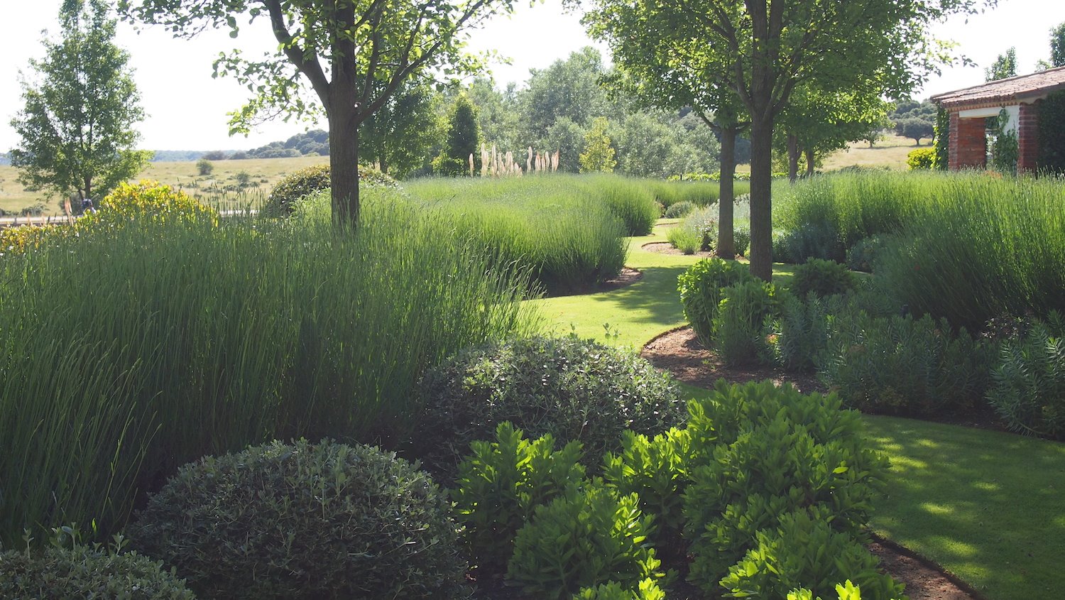 lavanda jardin salamanca