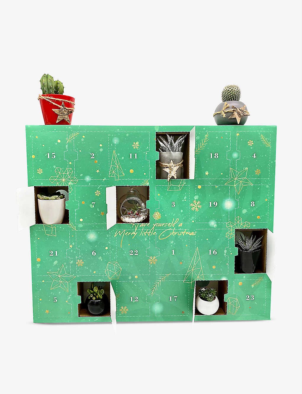calendario adviento plantas