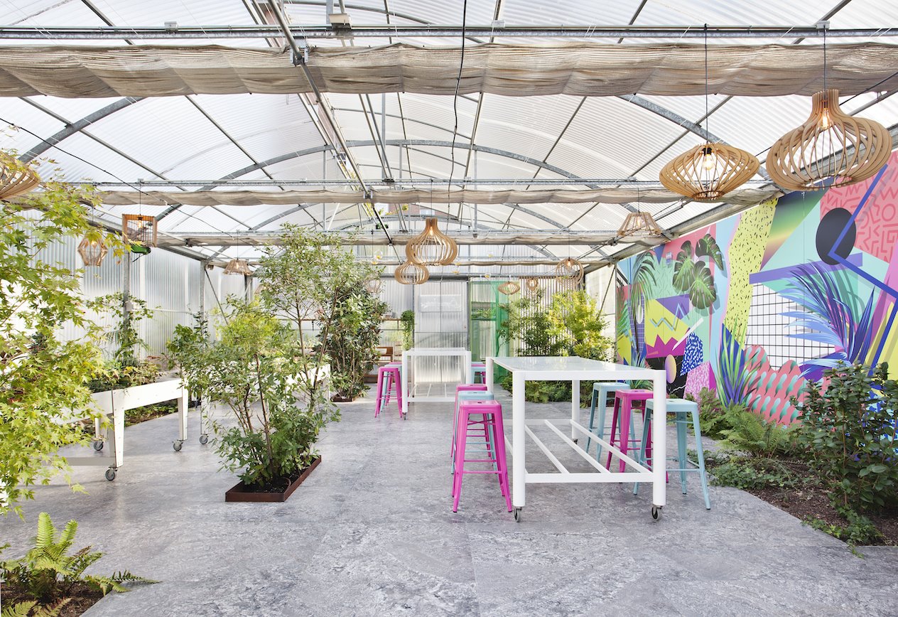 1.begonias-garden-fundacion-aprocor-002