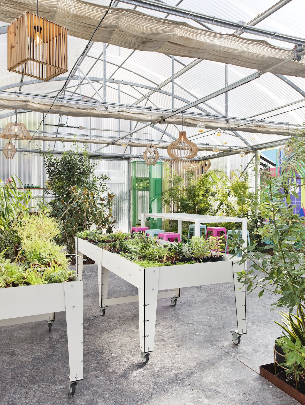 1begonias-garden-fundacion-aprocor-003