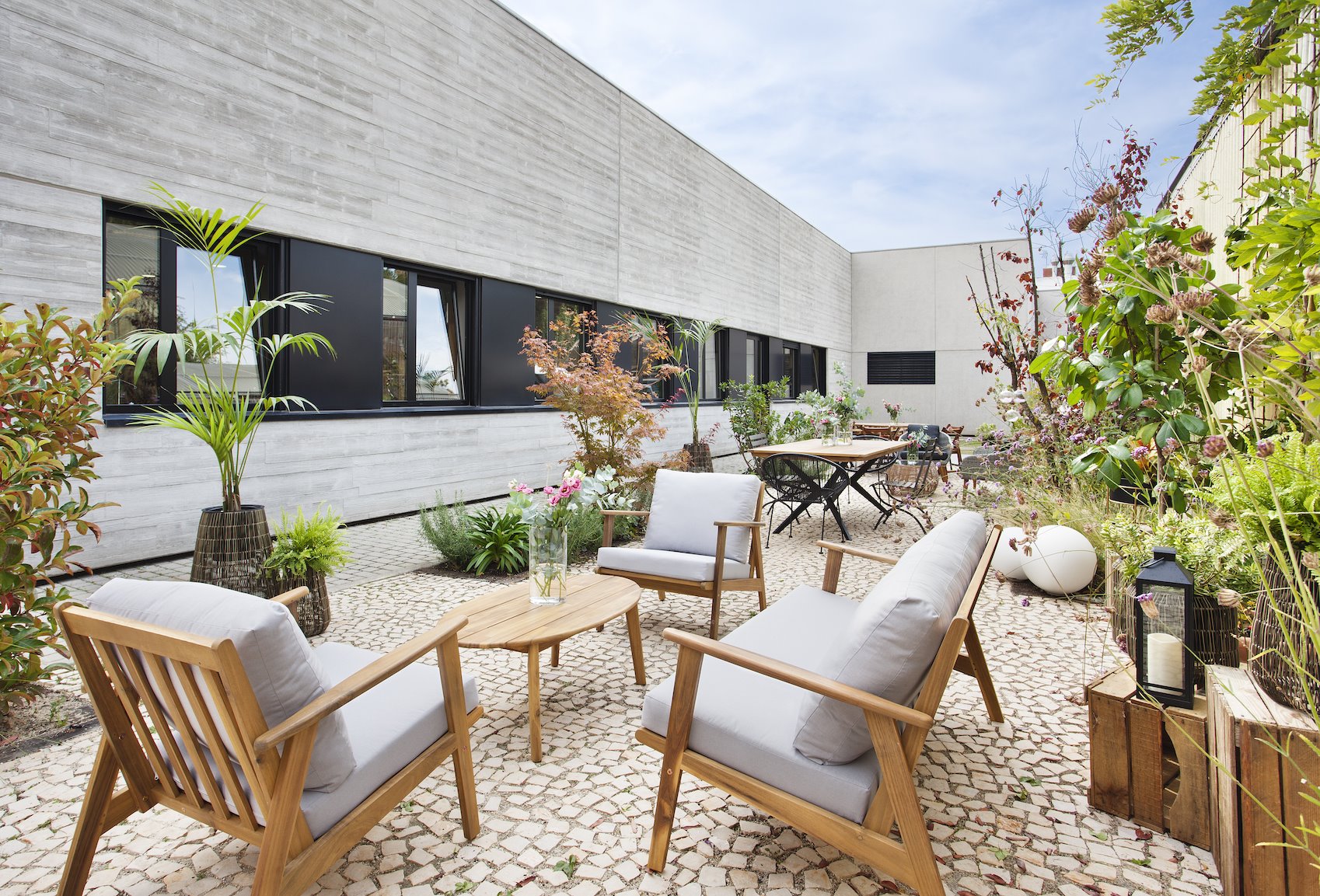 1begonias-garden-fundacion-aprocor-014