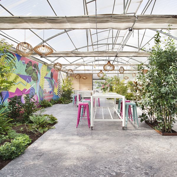 Begonia's Garden, el nuevo vivero de moda en Madrid es moderno y colorista