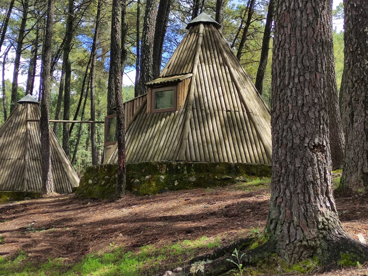 Justo a las afueras del glamping pasa el río Ramacastañas, en verano cierran una pequeña compuerta y se convierte en una piscina natural, hay un bar-restaurante también a las afueras y un merendero.