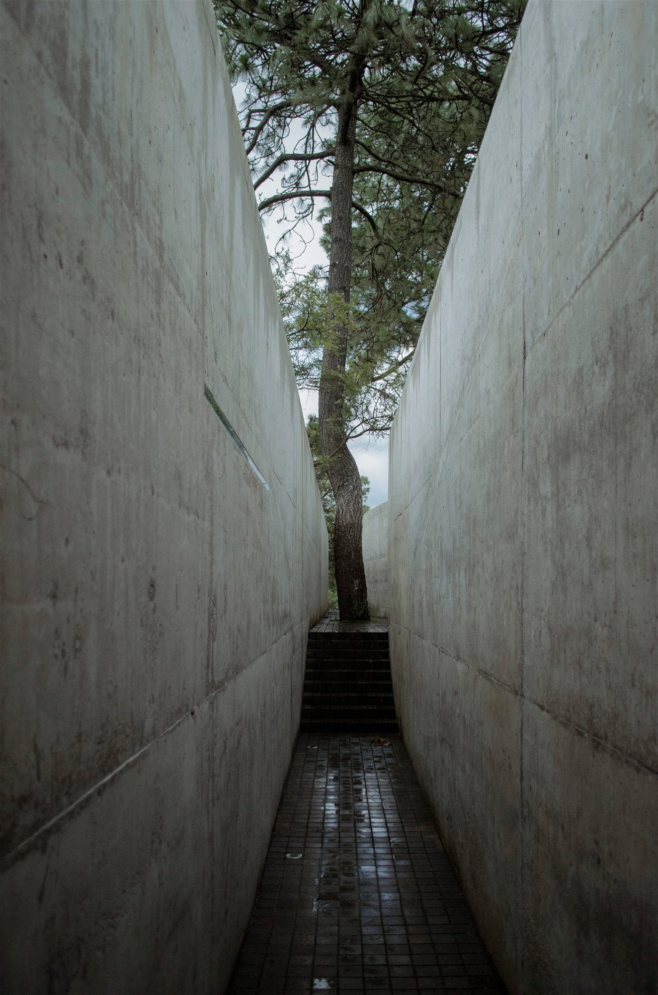 Una casa cueva de arquitectura ausente en la que sentirse protegido