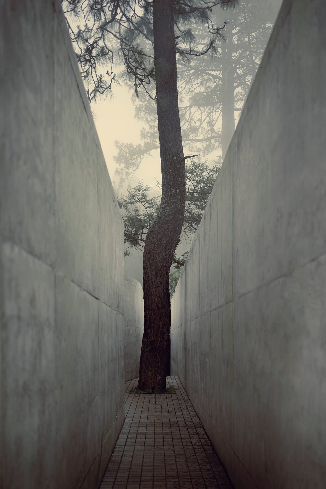 Una casa cueva de arquitectura ausente en la que sentirse protegido