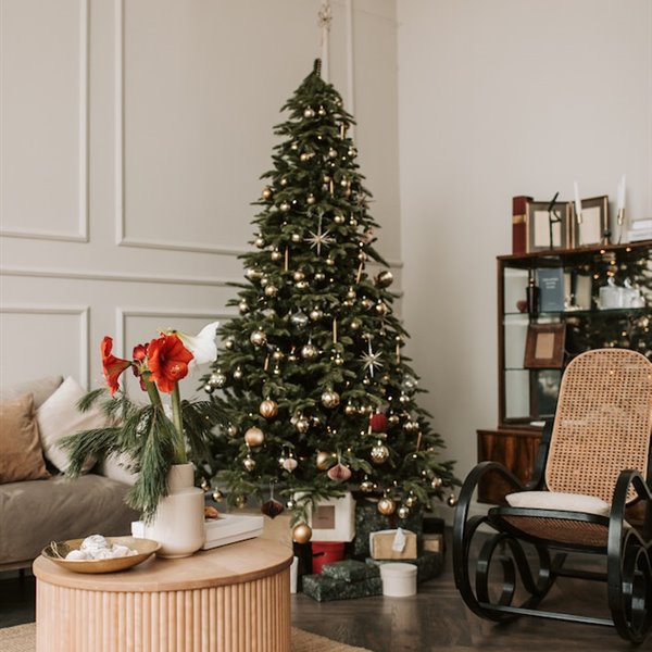 ¿Cuál es la fecha exacta para poner el árbol de Navidad en casa?
