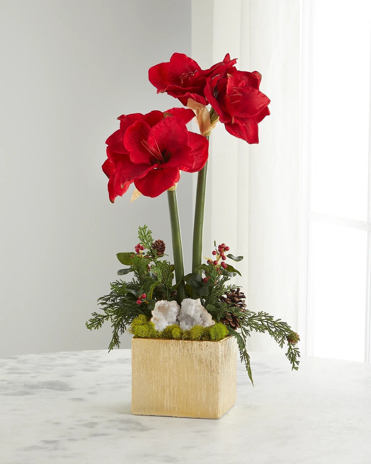 amaryllis rojo