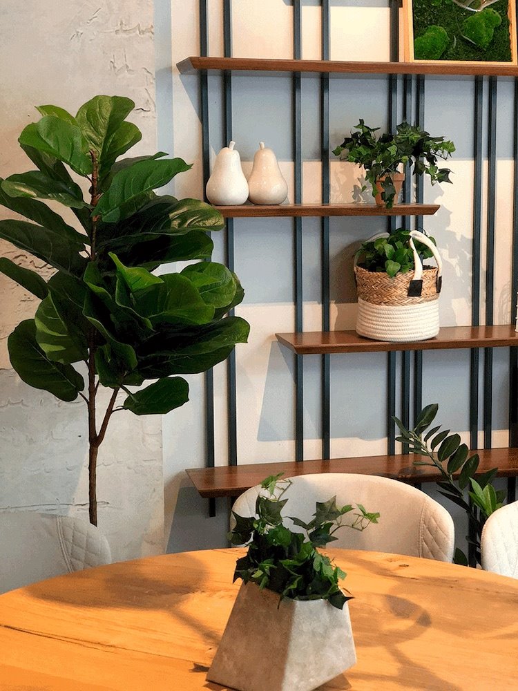 Showroom de Portobello Street.
