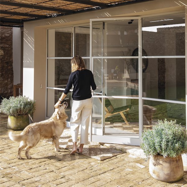 Las mejores casas de alquiler donde tu perro es bienvenido