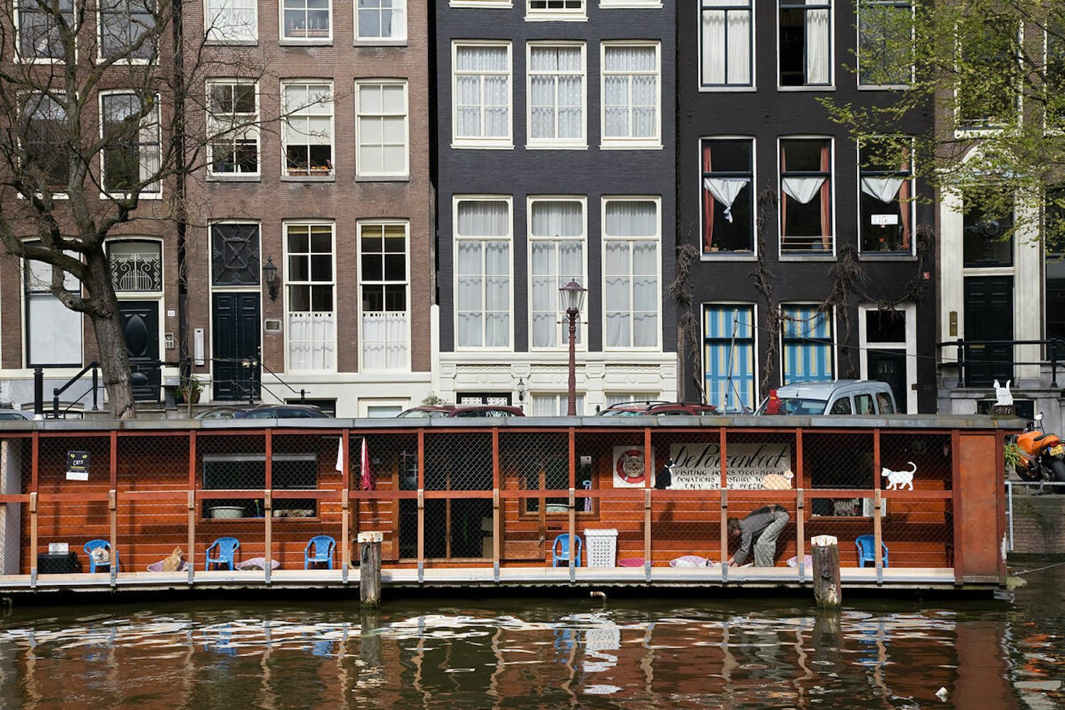 De Poezenboot Amsterdam