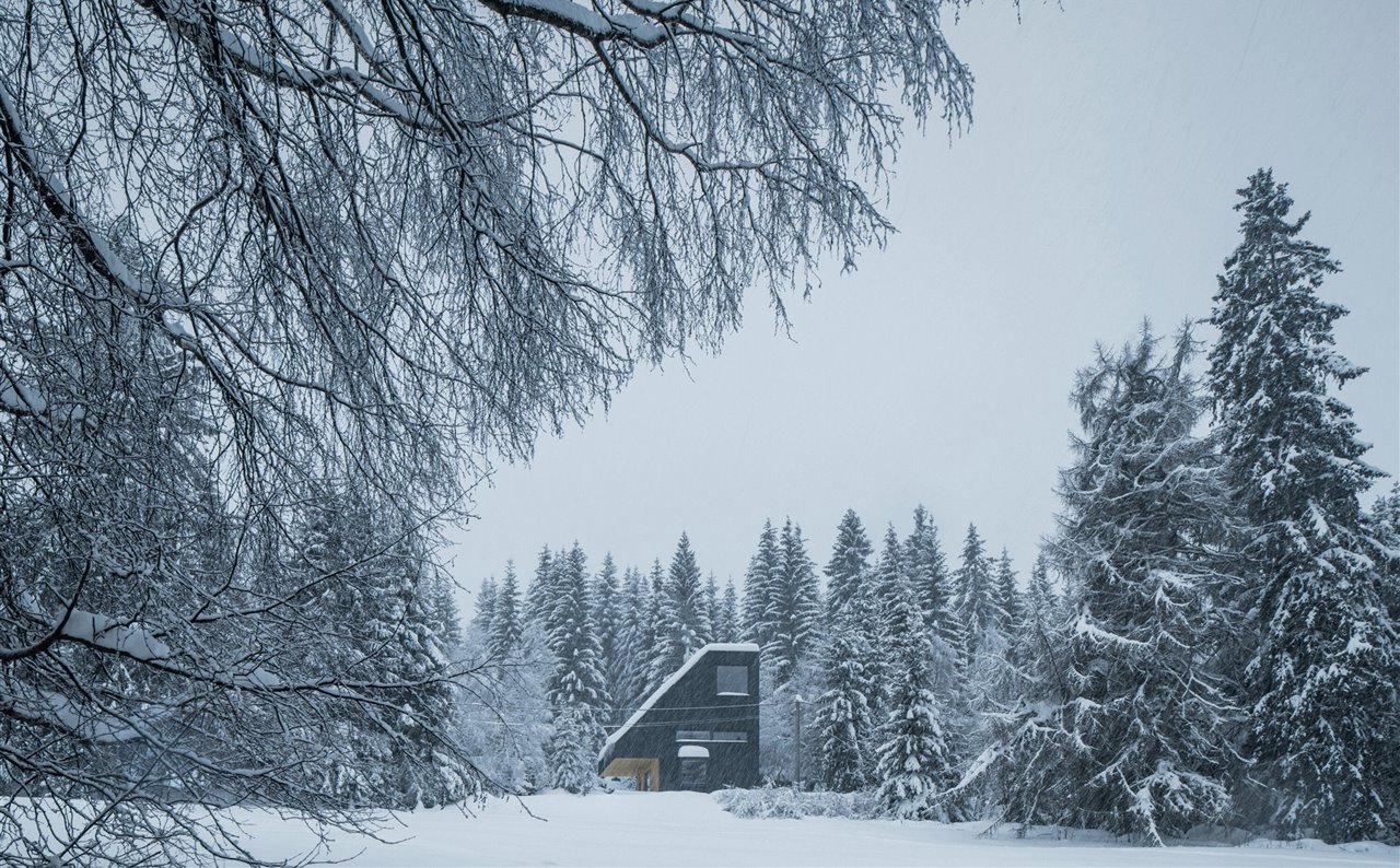 La casa está a solo unos metros del borde del bosque, desde donde crece hacia las copas de los abetos.