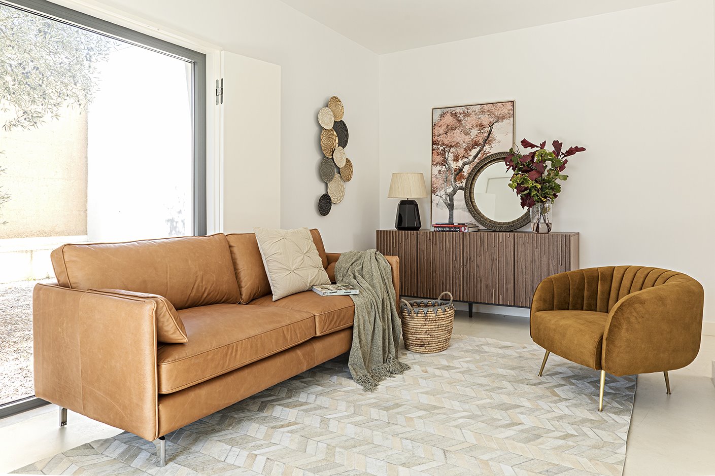 Ambiente Gato Preto