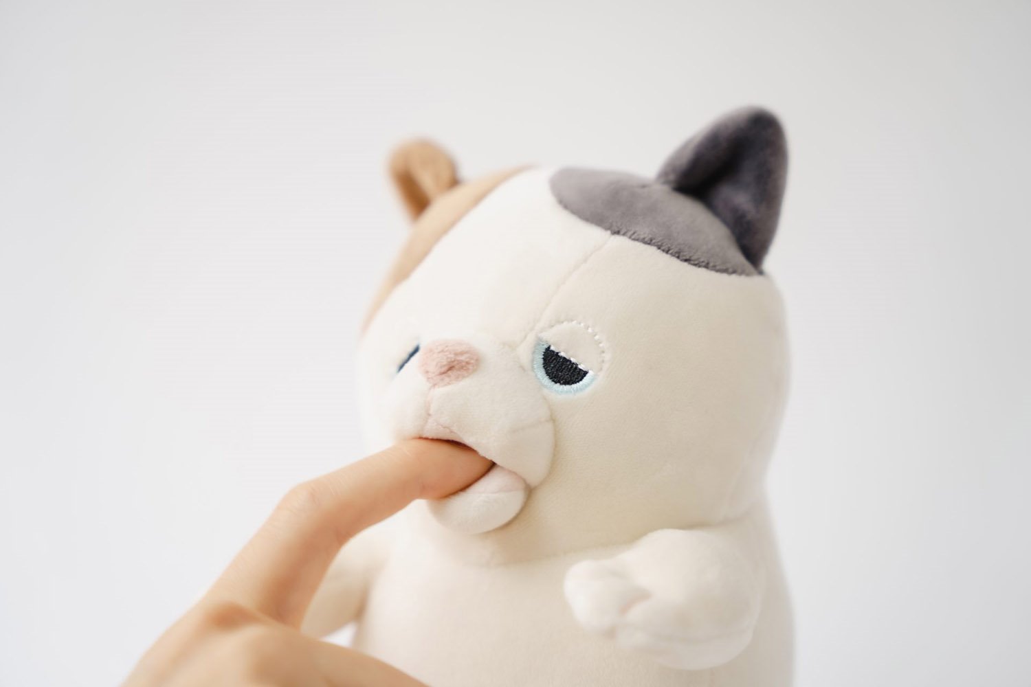 ces 2022 robot-Amagami-Ham-Ham
