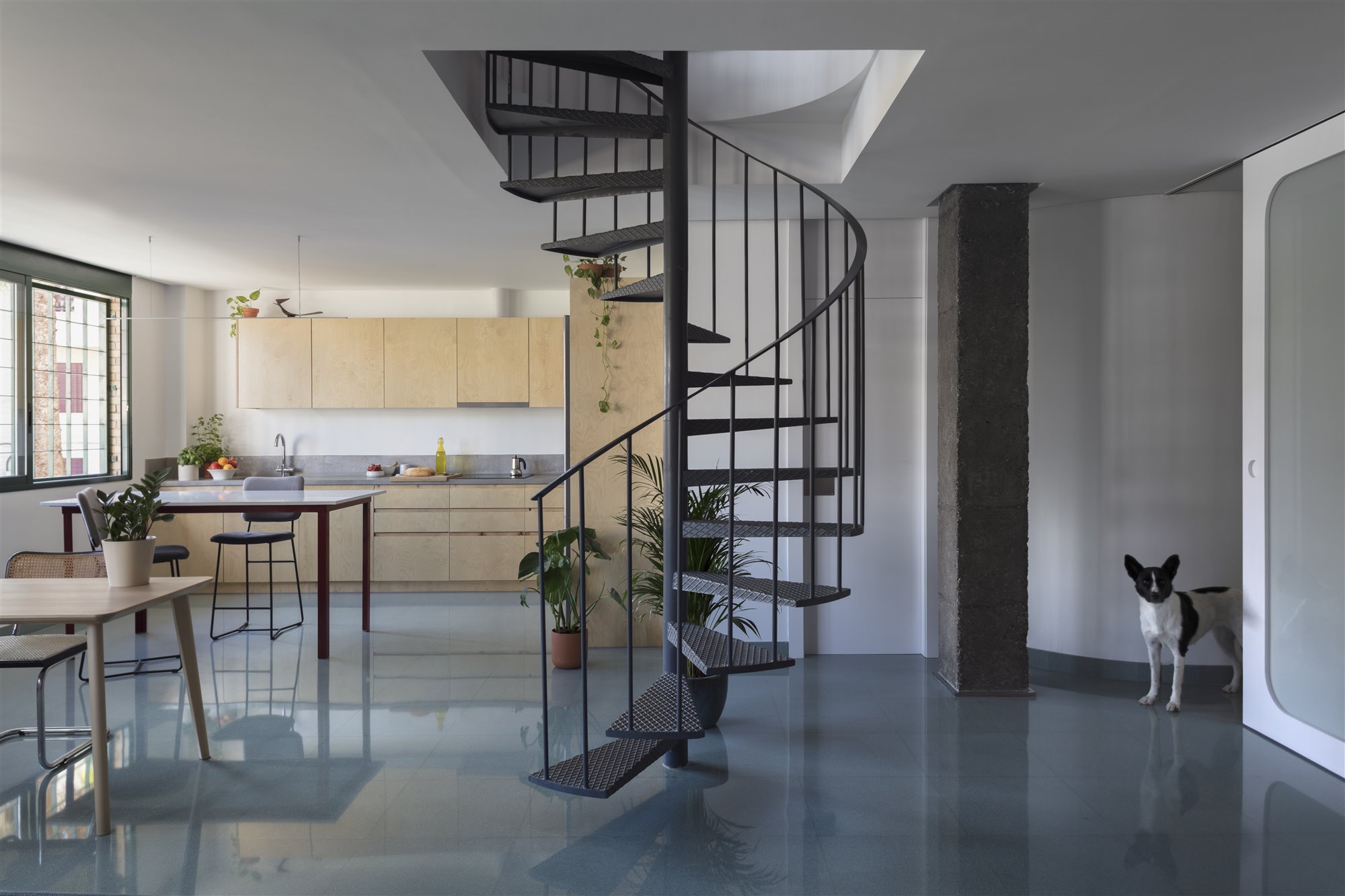 De oficina a vivienda-estudio en Valencia