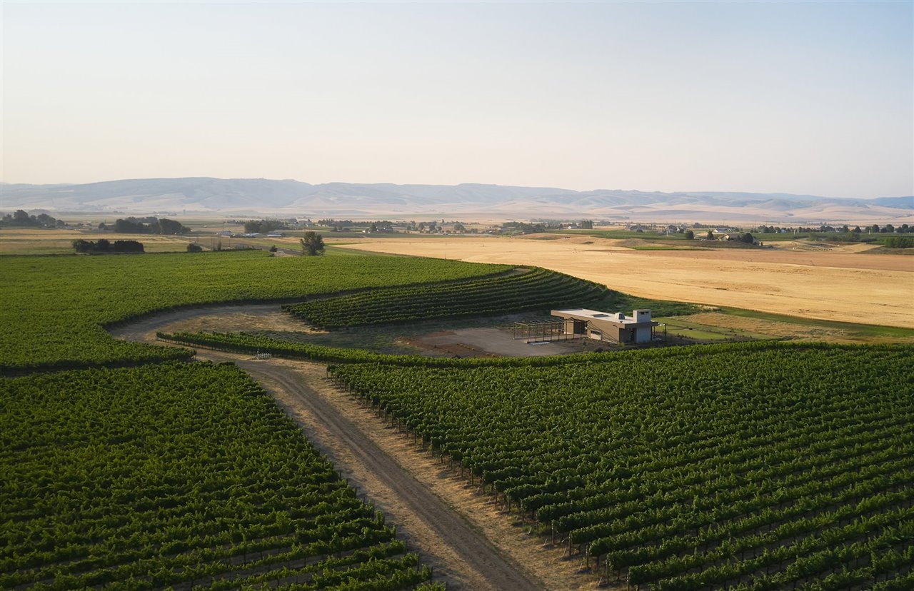 Entre viñedos y campos de cultivo de Walla Walla, la zona enológica más turística del estado de Washington, el estudio GO'C ha proyectado la bodega de Alton Wines.