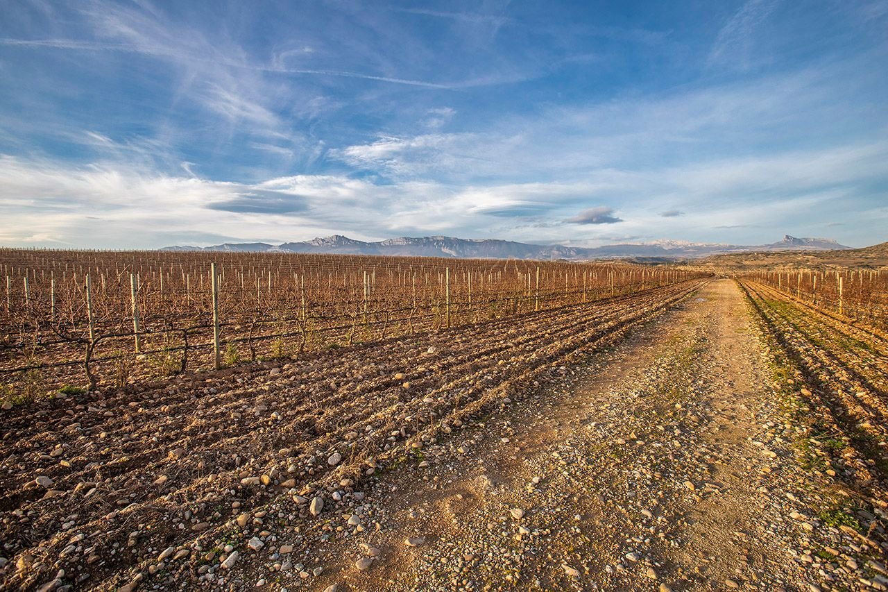 En los enclaves de las bodegas conviven  multitud de aves, mamíferos, reptiles, anfibios y variedades de flora de ribera de río, ya que los ríos rodean los terrenos casi al completo.