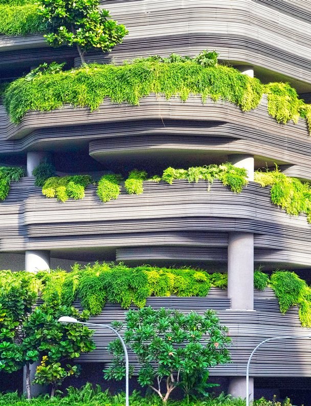 Diseño biofílico: todo lo que debes saber sobre la tendencia más verde para tu casa