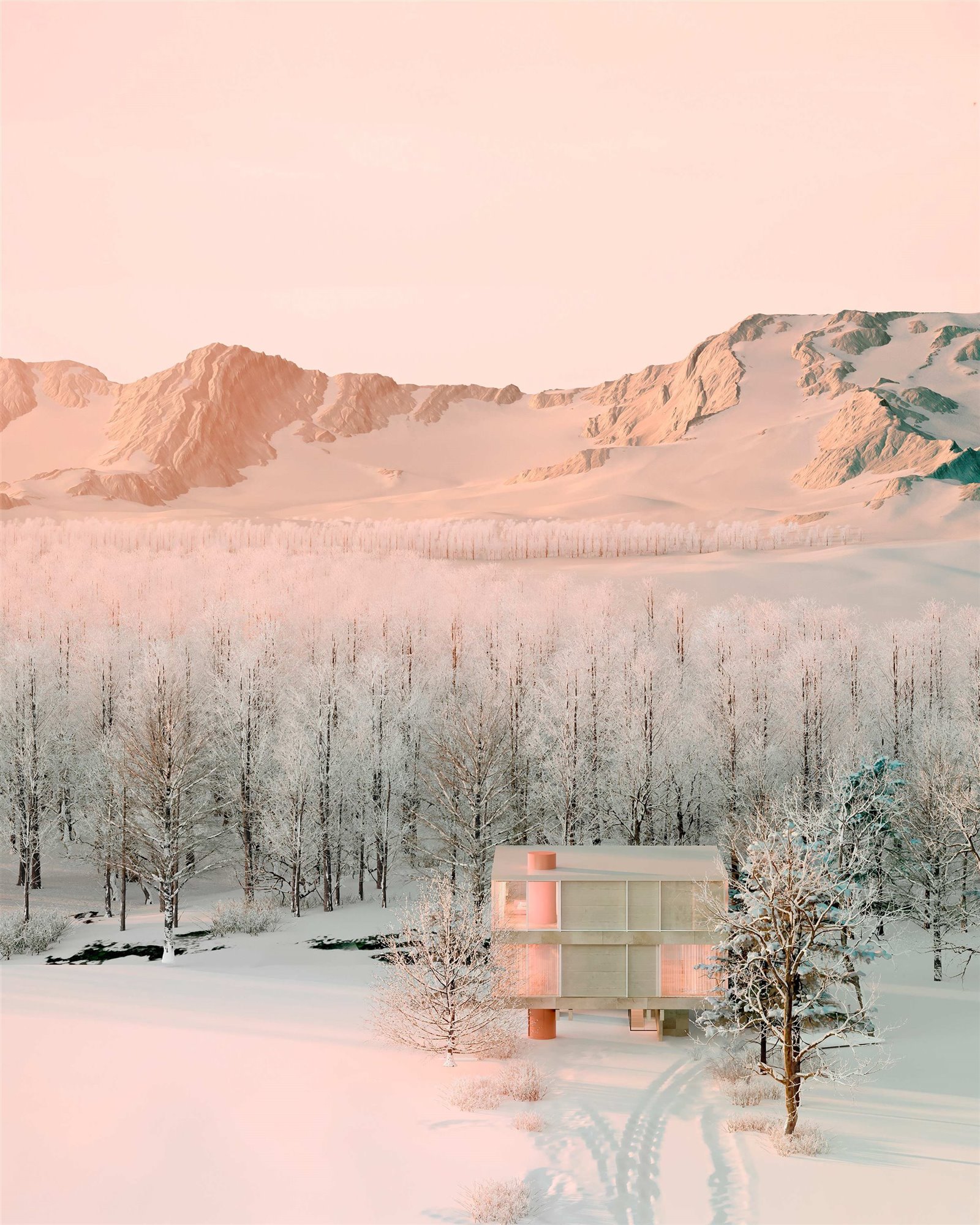 Vista paisaje casa de invierno virtual Andrés Reisinger