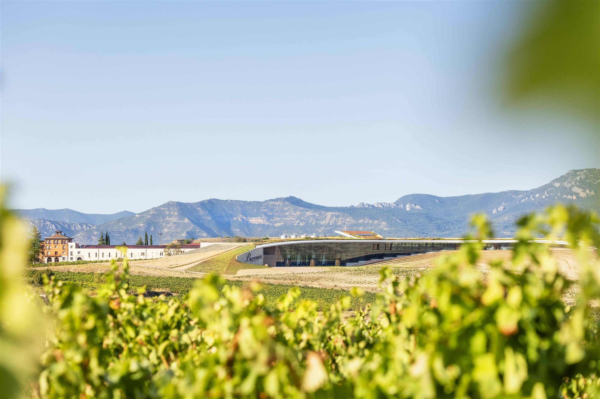 Bodegas Beronia. Respeto por la naturaleza