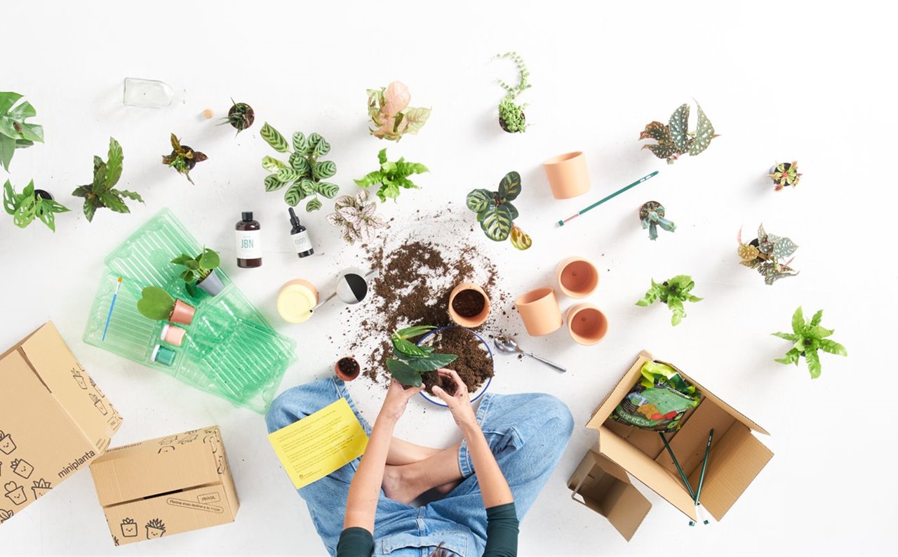 Miniplantas, un reto para los amantes del mundo vegetal.