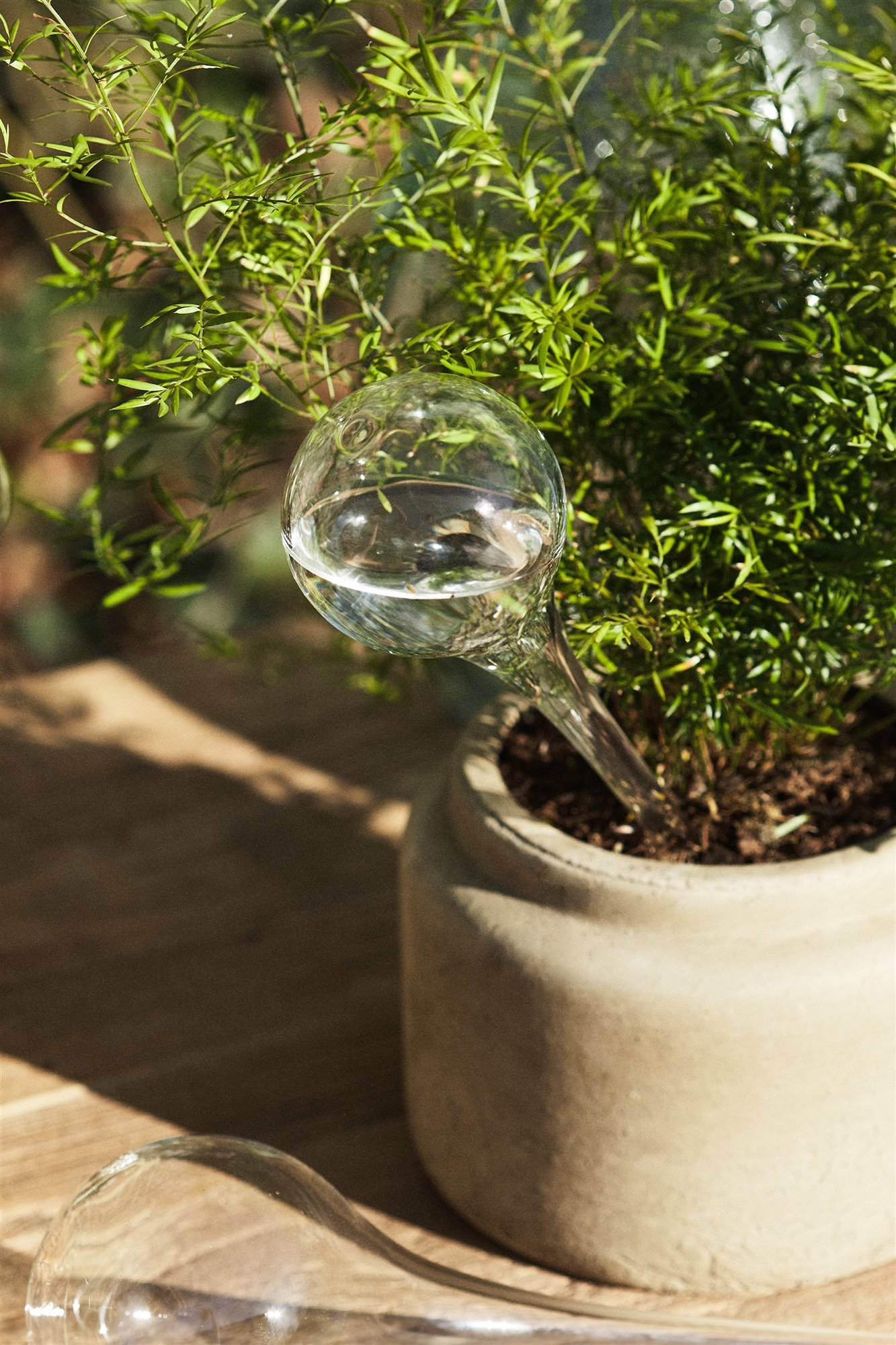 Zara home coleccion para jardineria