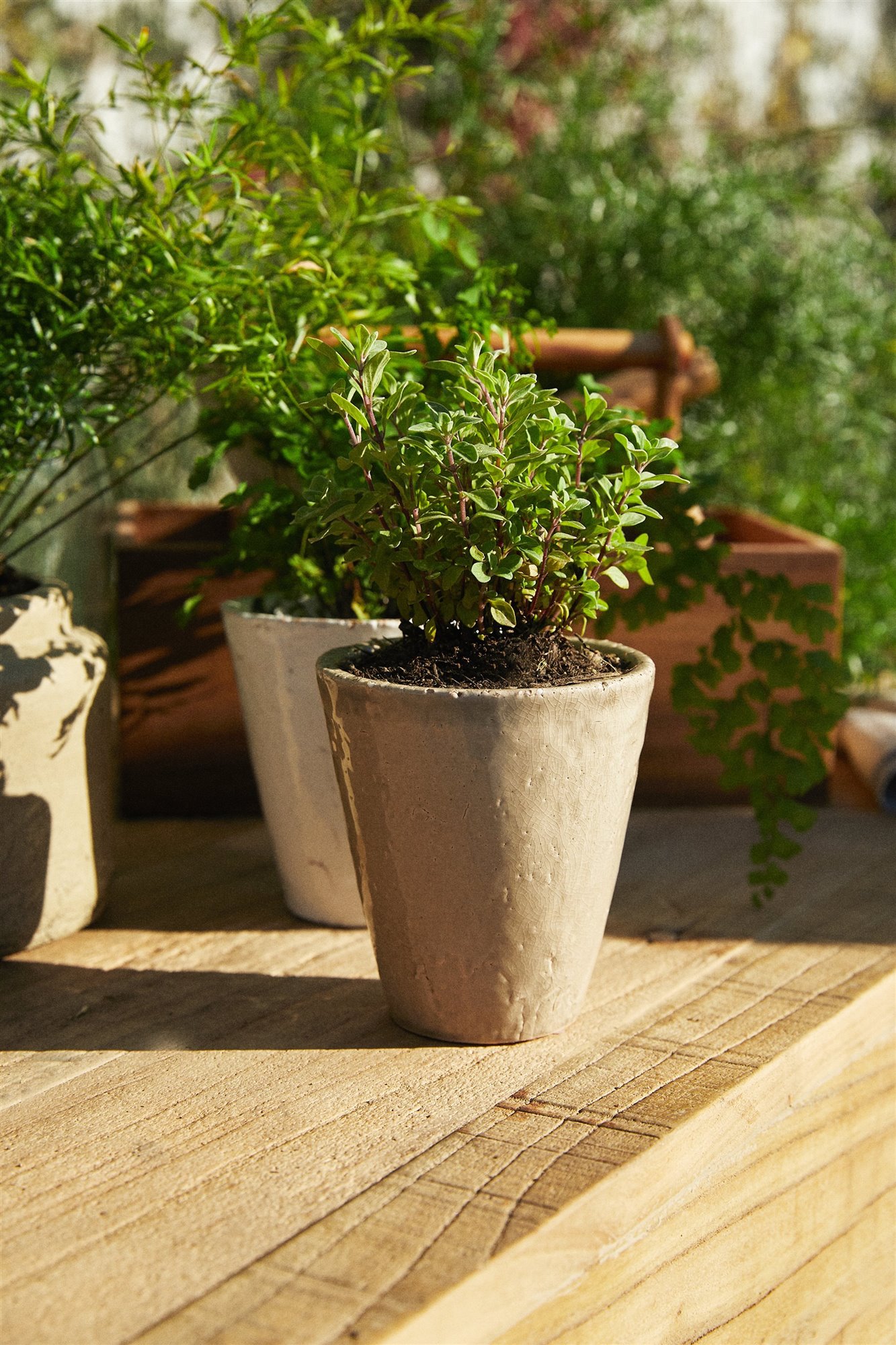 Zara home coleccion para jardineria
