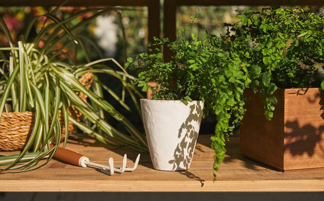 La nueva colección de jardinería destaca por su estilo minimalista en madera y blanco 