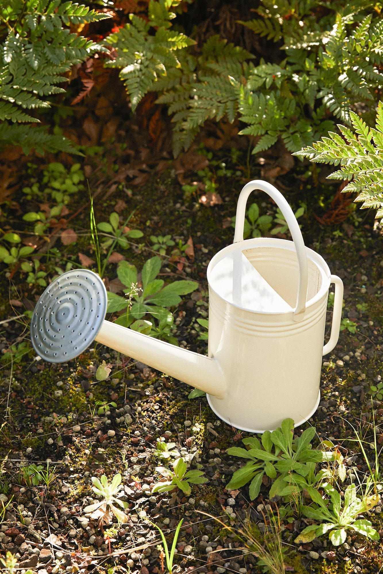 Zara home coleccion para jardineria