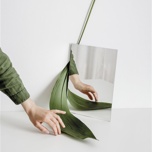 decalogo eco espejo planta