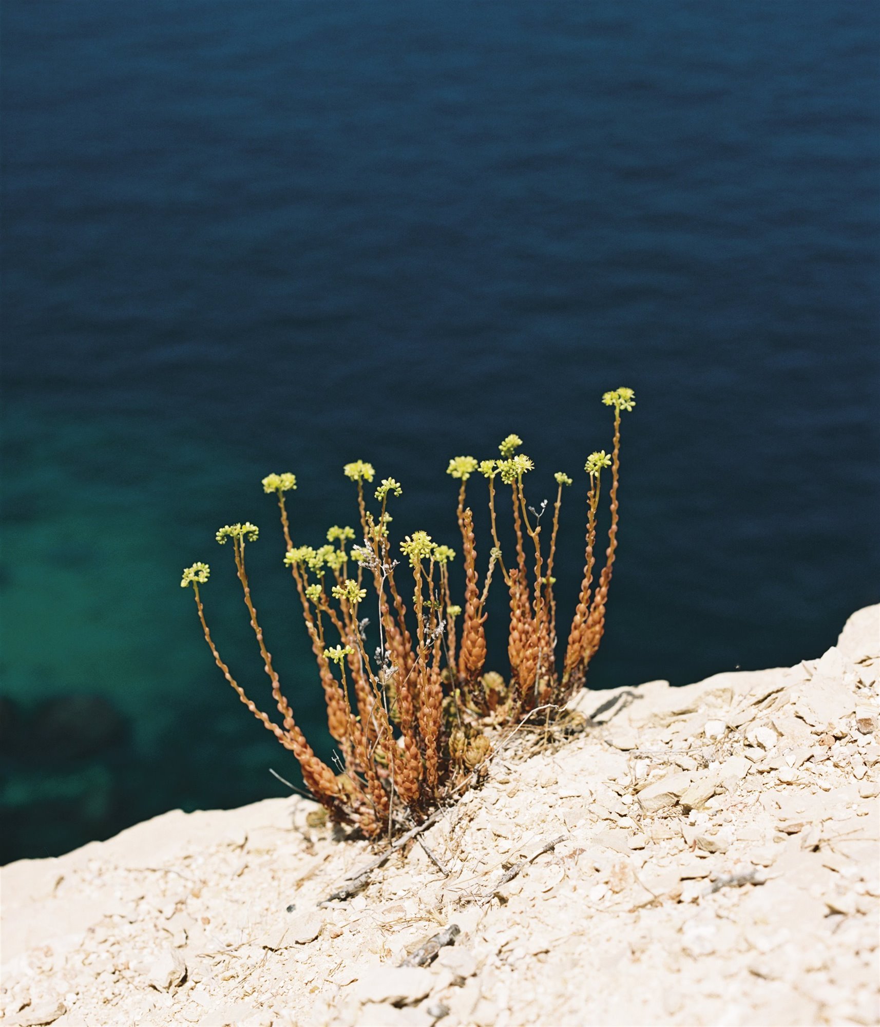 Gabriel Escámez la Cobalta libro Balearics