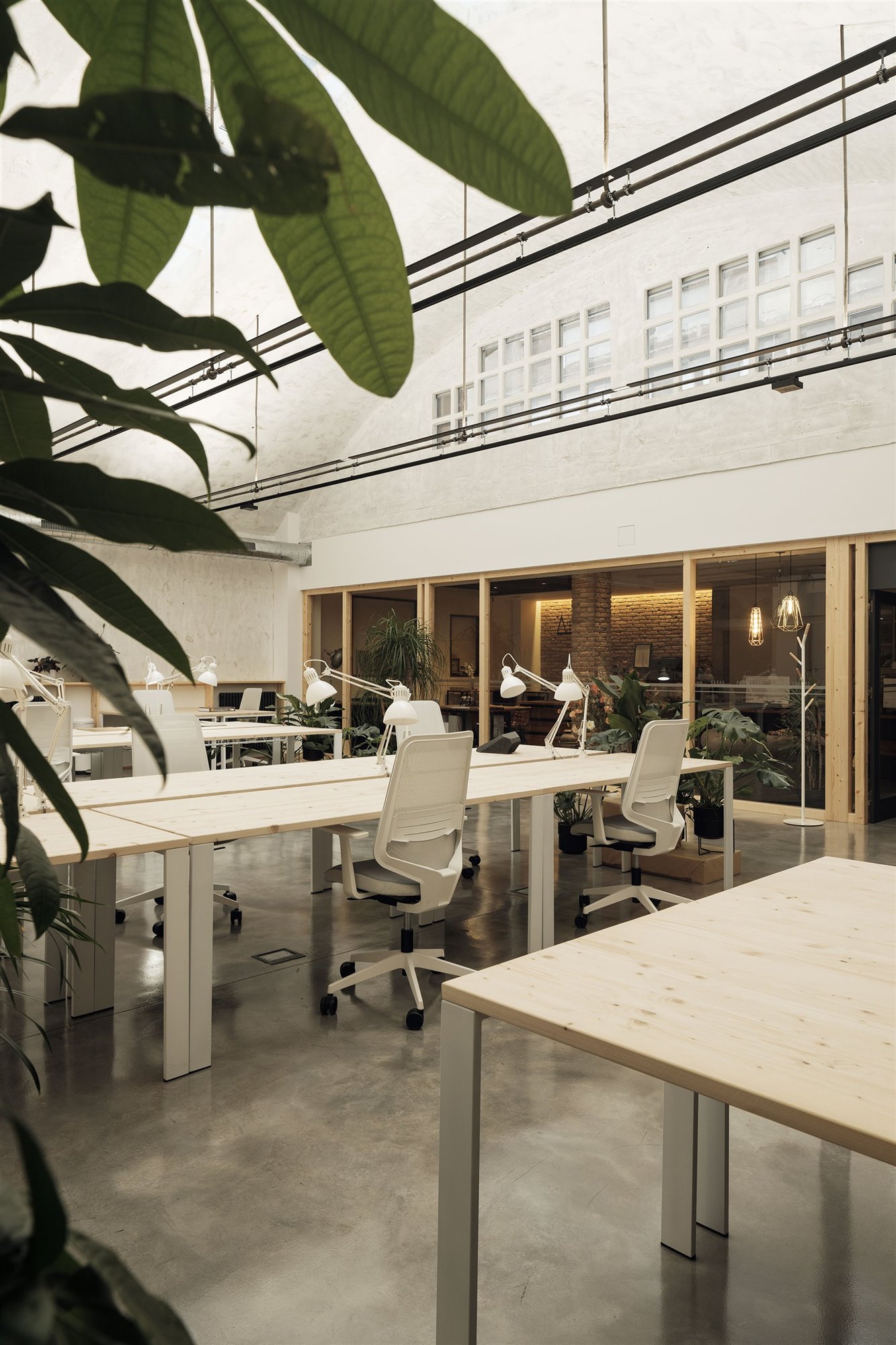 Invernadero coworking oficinas