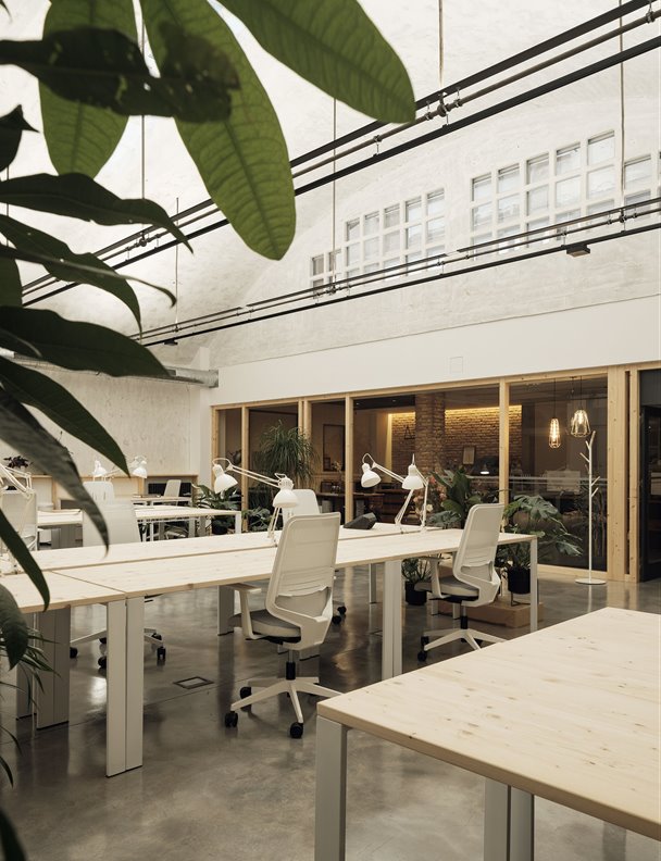 Una antigua nave de Asturias se transforma en coworking inspirado en los invernaderos