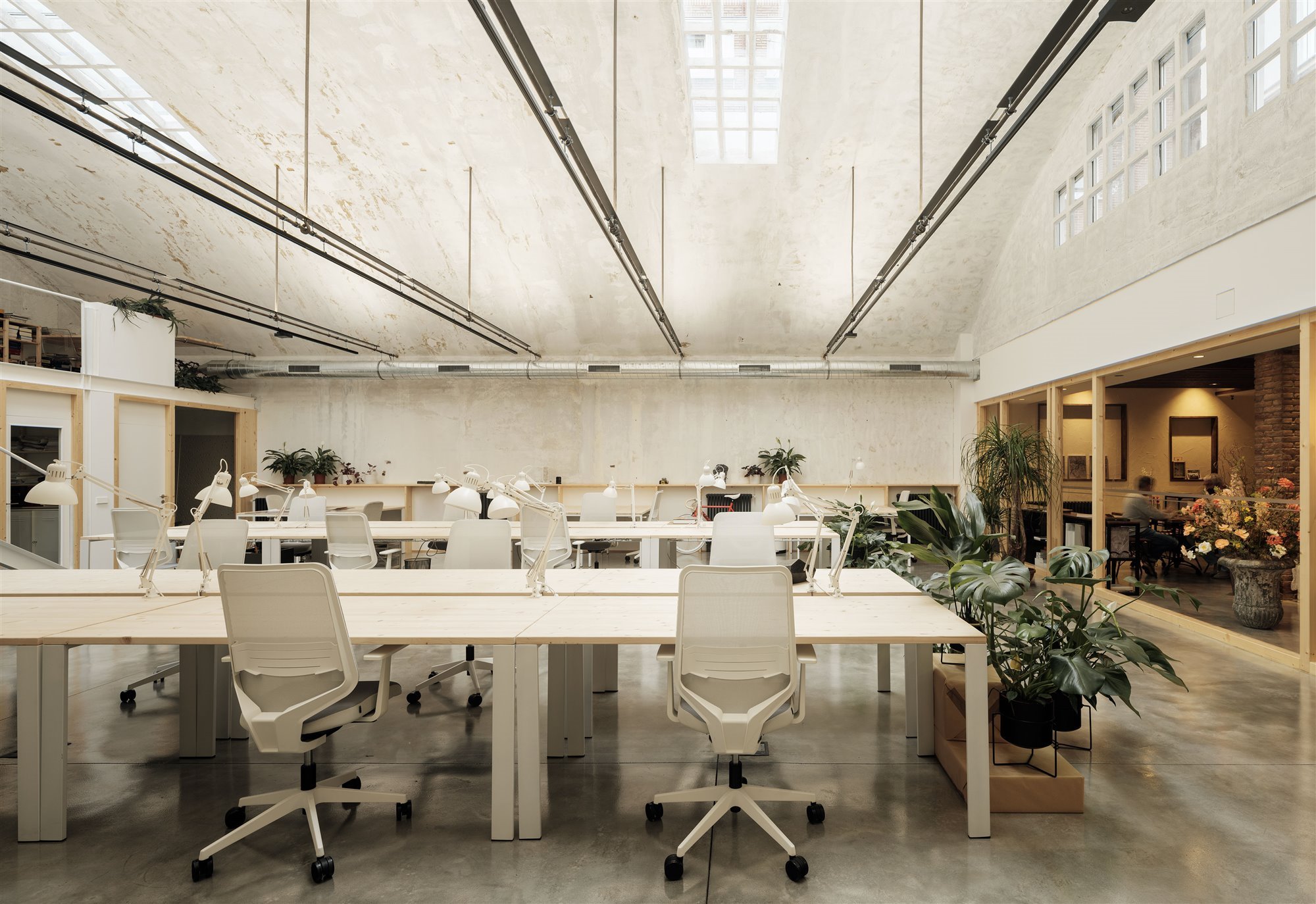 Oficinas coworking Invernadero