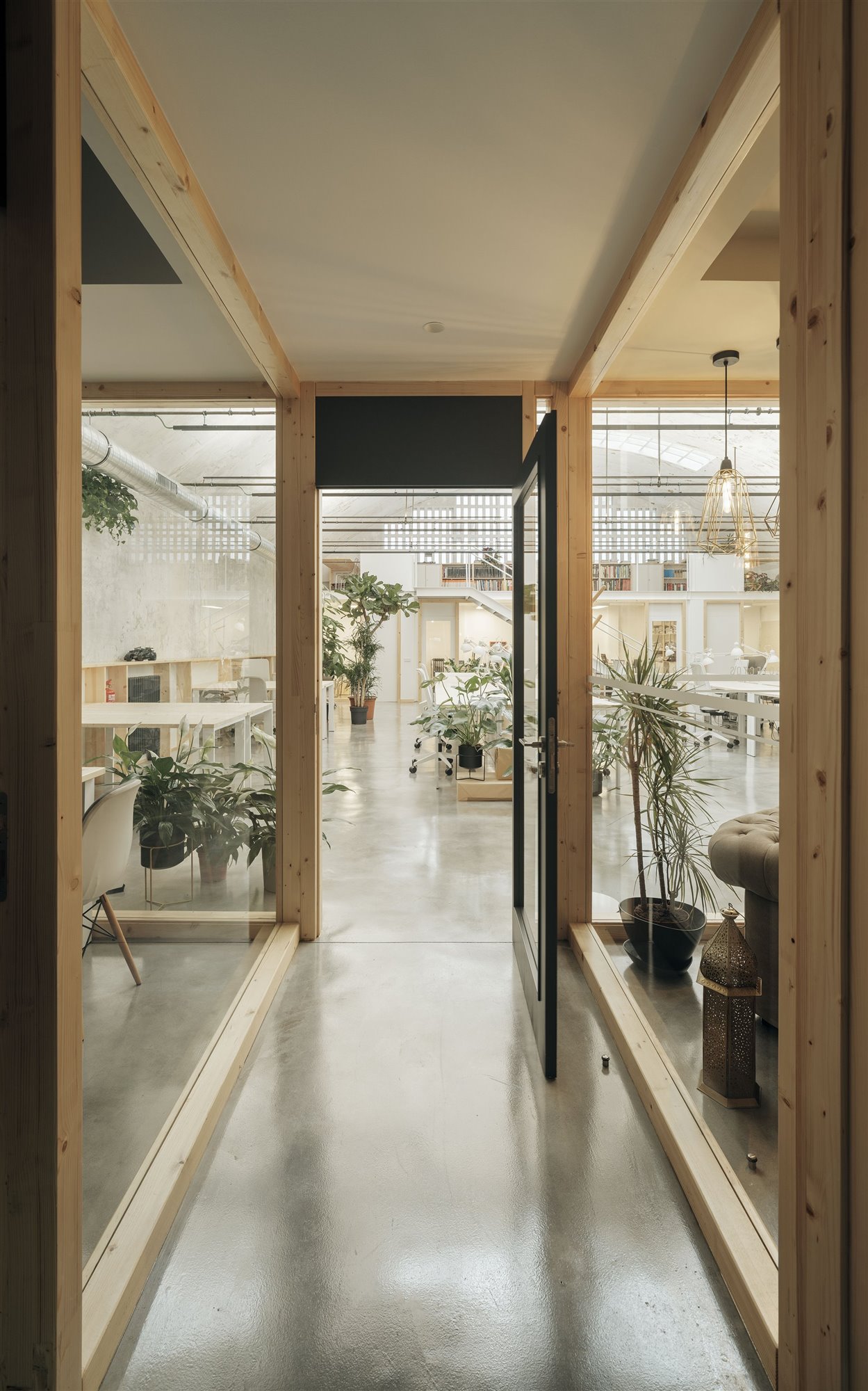 Pasillo coworking Invernadero oficinas