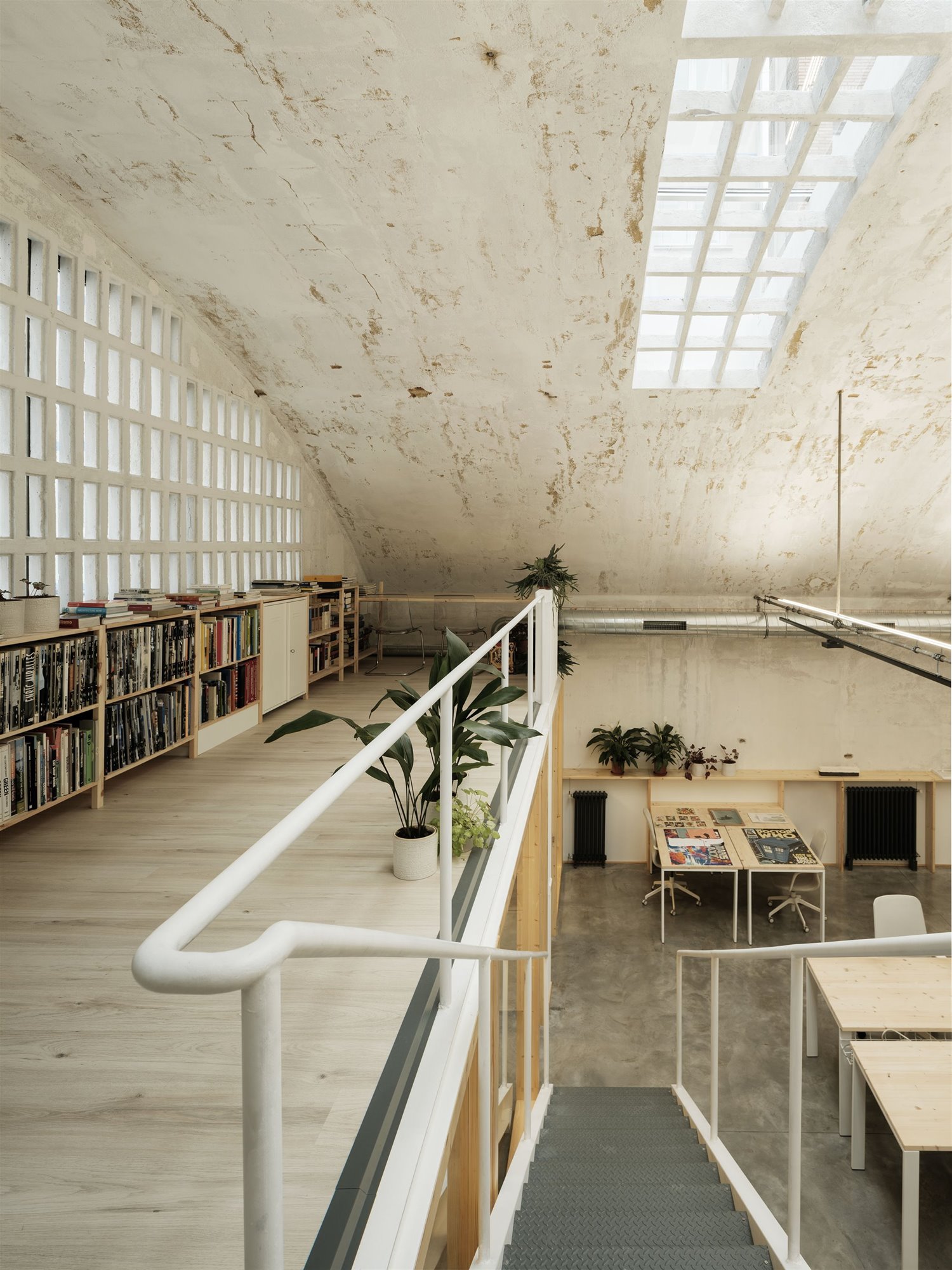 Techo oficinas coworking Invernadero