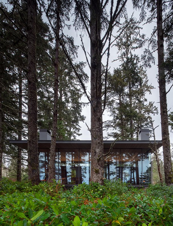 Esta moderna casa de madera y cristal es un ejemplo perfecto de fusión con la naturaleza