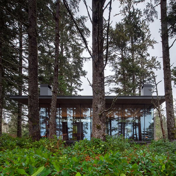 tofino beach house olson kundig vista exterior entre árboles