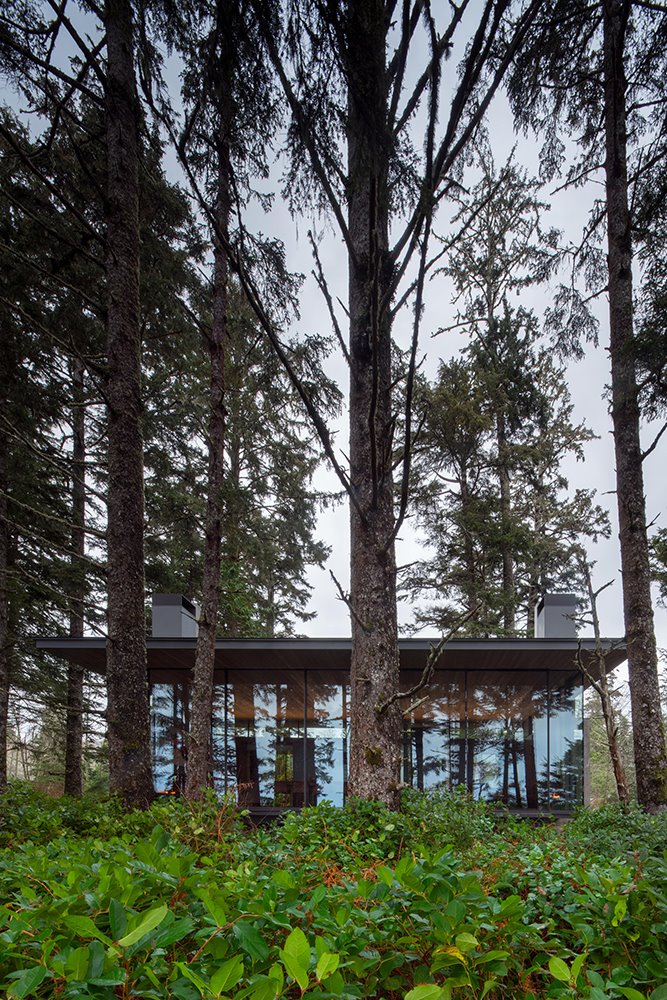 tofino beach house olson kundig vista exterior entre árboles